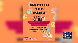 Local developer of Pawnd'r app talks passion for pets, lost pets and connecting no-kill shelters