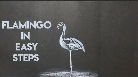 How to draw flamingo in easy steps | Black and white