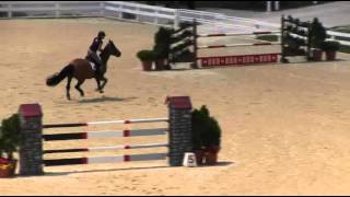 Video Of Catalina Ridden By Ashley Fleischhacker From Shownet
