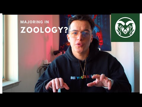 Colleges With Animal Behavior Majors