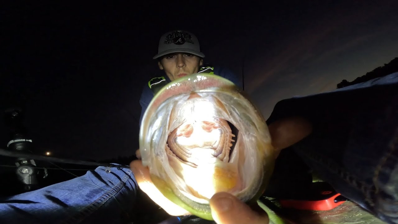 Northern Bass INHALE Reaction Baits!!! (Wisconsin Kayak Fishing)