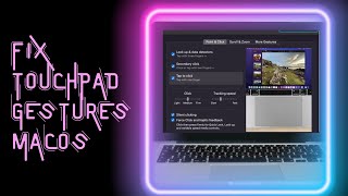 How to fix trackpad gestures on macOS