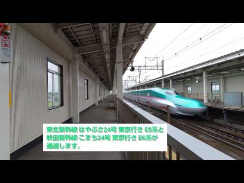 東北新幹線 はやぶさ24号 東京行き E5系と秋田新幹線 こまち24号 東京行き E6系 2021.08.14