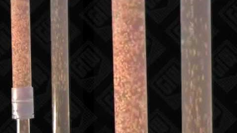 Vertical pipeline video