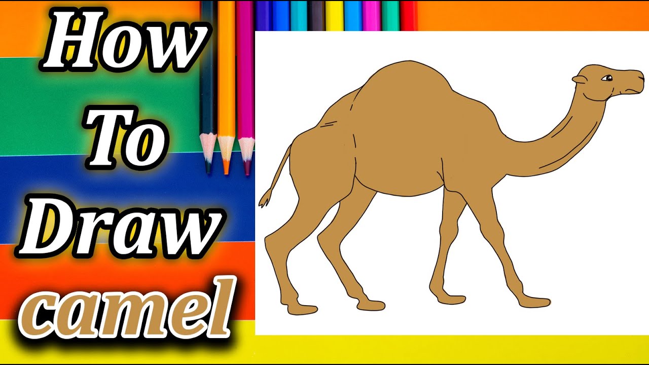 How To Draw Camel For Kids Easy Step By Step - YouTube