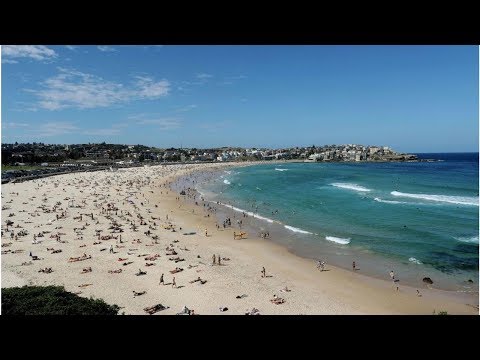 Video: Spycam V Hostelu Na Bondi Beach