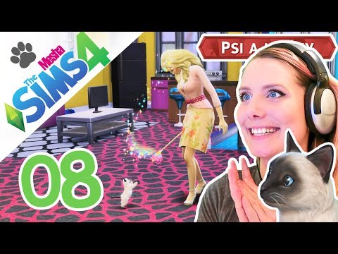 Video: 8 Koček Pro Psy