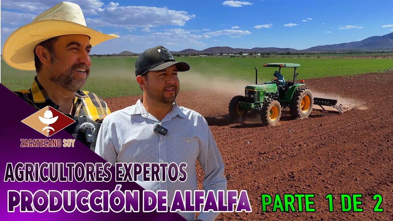 HUGO MI HERMANO Bienvenido al canal