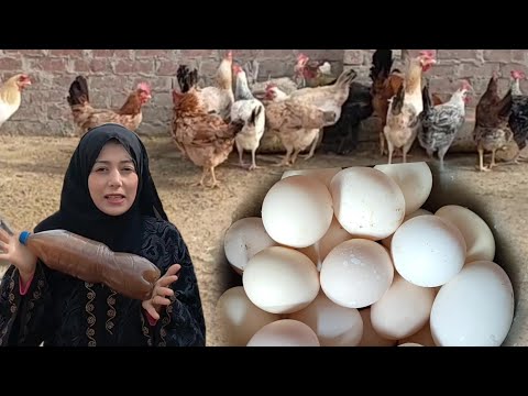 السر في الزجاجة دى أقوى وصفه لزياده إنتاج البيض عايزة فراخك تبيض وعنقود البيض ميخلصش هاتشوفى النتيجه