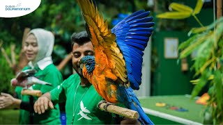 Exotic Bird Show Dubai A Must-See Dubai Visit Attraction At Dubai Dolphinarium
