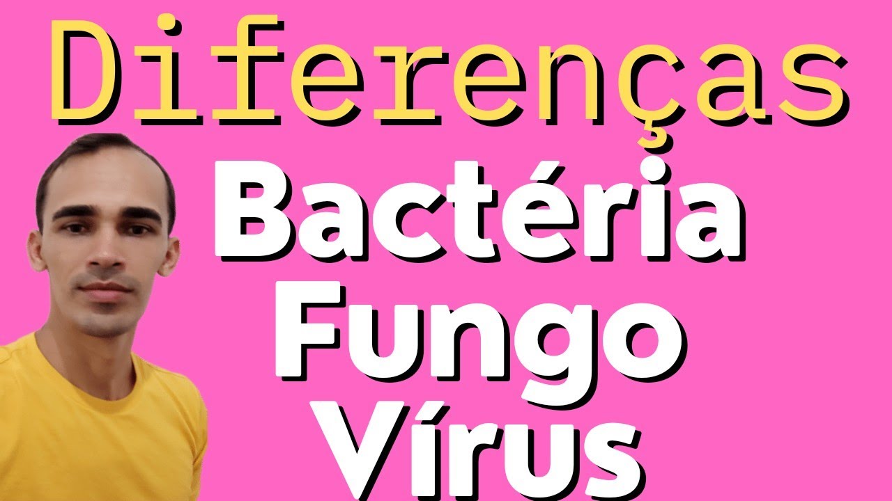 Diferença entre vírus, fungo e bactéria Professor Arôvel YouTube Diferença entre vírus, fungo e bactéria Professor Arôvel YouTube