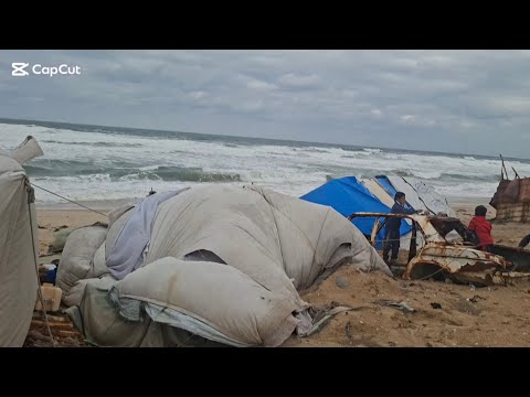 أول جمعة في سنة 2026 صورنا يومنا كما نعيشه وعلى الله أملنا أن القادم أجمل للجميع Gaza 