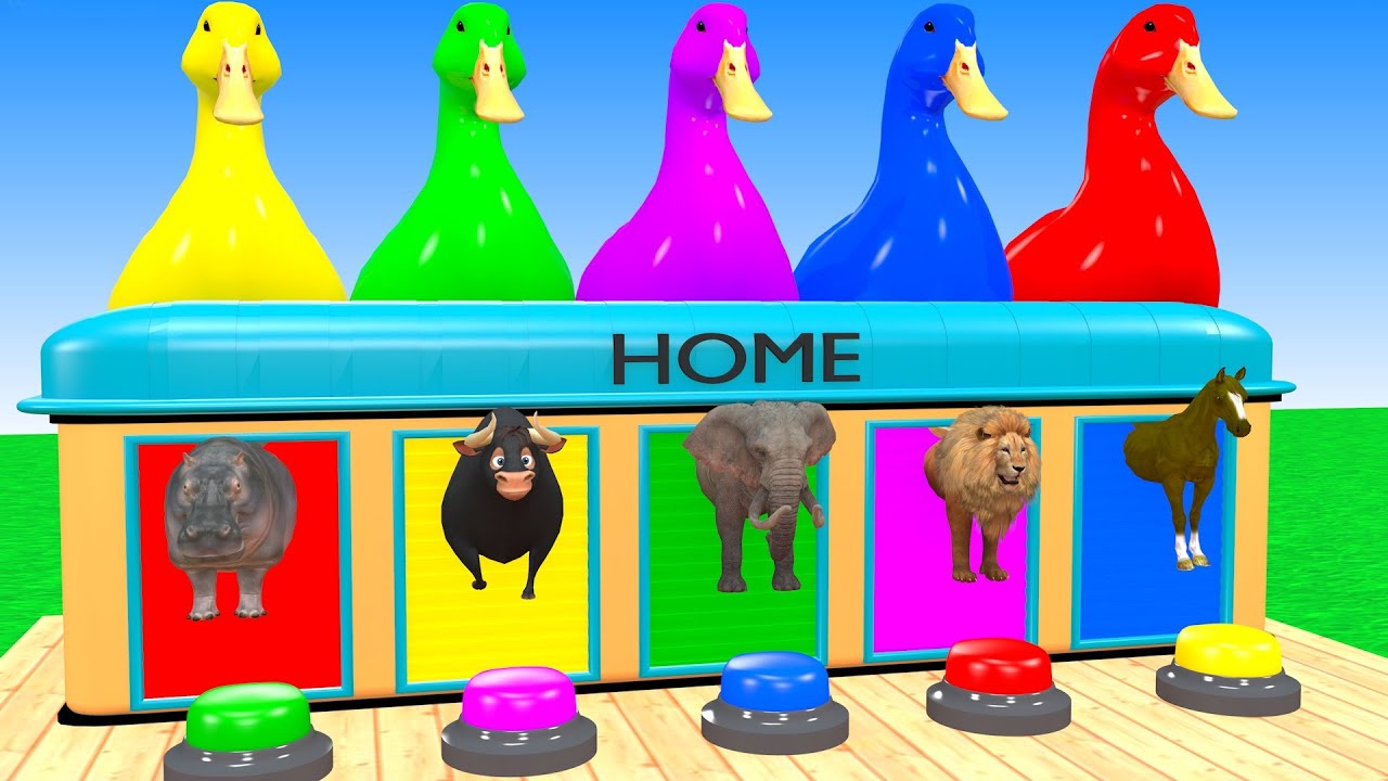 Long Slide Game With Elephant Lion Horse Bull Hippopotamus Tiger 3d Animal Game Funny 3d Animals