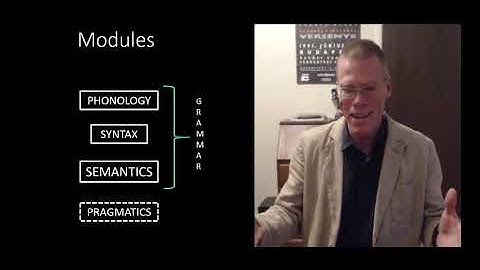 A Brief Introduction to Linguistic Modularity and Pragmatics