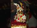 Holi 🫟 khel rahe bake Bihari 🙏🏻 #bankebihari #laddugopal #shyam #rasiya #holikerasiya #faag #shorts
