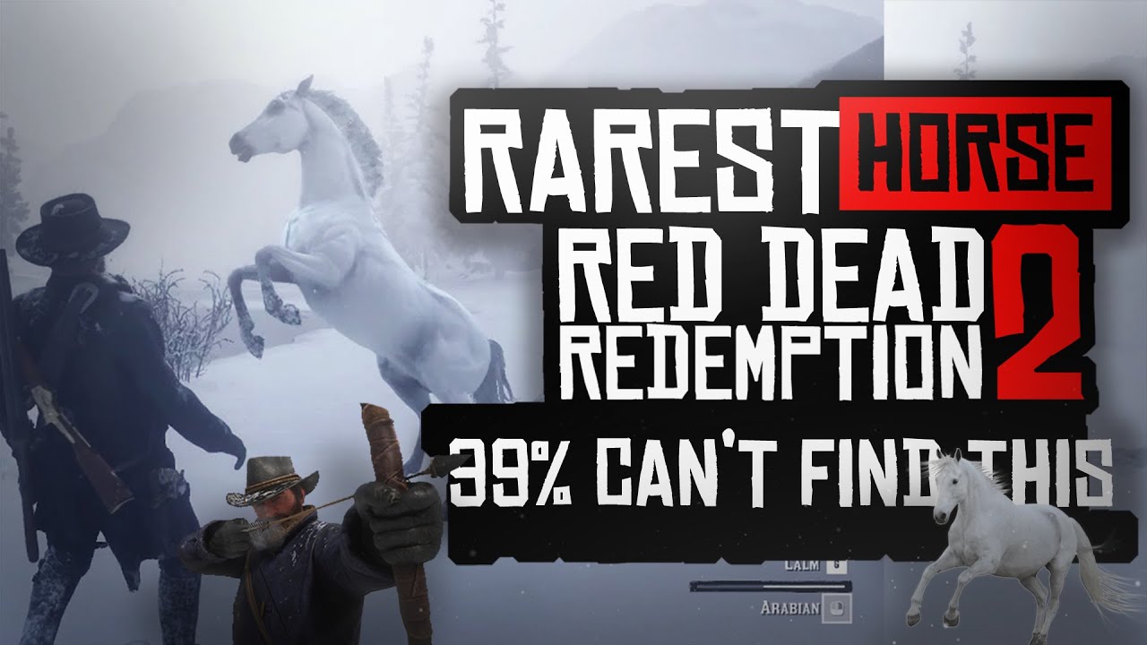 ഇതിനെ പറ്റി മിക്കവർക്കും അറിയില്ല | Rarest And Hardest  horse to tame in RDR2|The Aquarius|Malayalam