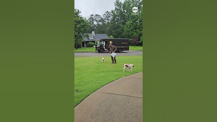 UPS driver gets emotional as he says goodbye to dogs he bonded with for over a decade