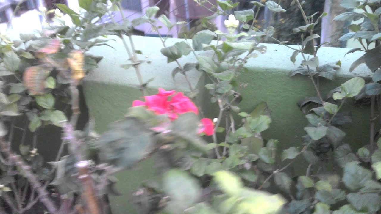 Swipe Ultimate Tab's Video Recording Sample