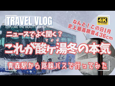 観測史上1月最高積雪436㎝の日 酸ヶ湯温泉に青森駅から路線バスで行ってみた！キュンパスで東京から日帰りもできるニュースでよく聞く豪雪地帯！VLOGっぽく現地はこんな感じ！