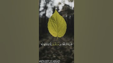 ﴿ وما تسقط من ورقة الا يعلمها ﴾ سوره الأنعام الآيه 59 / القارئ محمود الشحات
