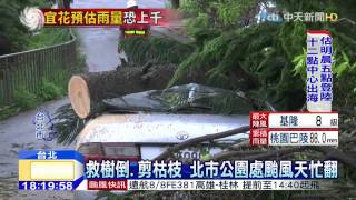 20150807中天新聞 蘇迪勒「風」先來! 北市現8級陣風 逾60棵路樹倒