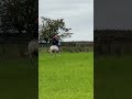 Cantering in September, going a bit faster. A muddy pony today.