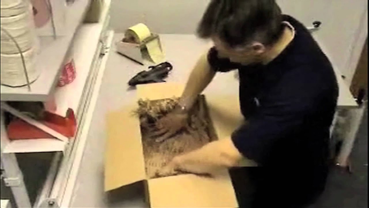 Waste Management Shredder - Warehouse - TheWorkplaceDepot