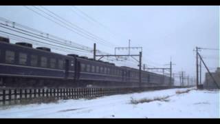 EF60 19+12系5B+EF65 501 カナロコ列車(9315レ)@2014.2.8