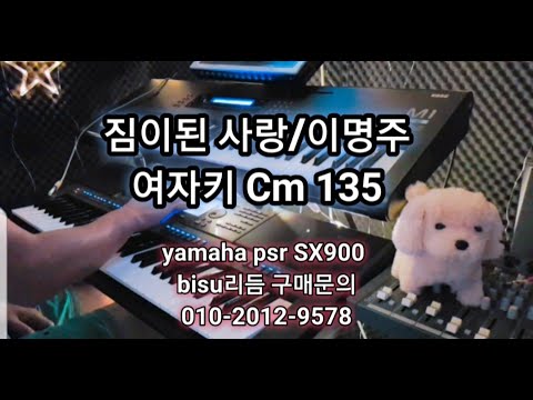 전자올겐연주 짐이된사랑/<strong>이명주</strong>  Yamaha PSR SX900 비수연주