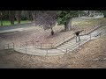 Riley Hawk Shep Dawgs 5 Havoc Remix