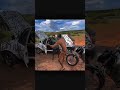 pandionga concerta carro do BRUTINHO #brutinho #humor #comedia