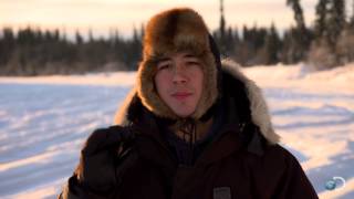 Brushes with Death: Bull Moose vs. Joey | Yukon Men