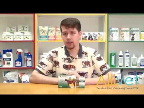 adequan-equine-vials-for-horse-|-allivet-video