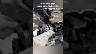 Can You Really Wash Your Engine with Water