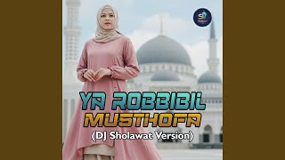 Download Lagu Ya Robbibil Mustofa (DJ Sholawat Version) MP3