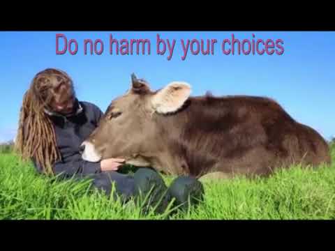 Do No Harm - Ahimsa