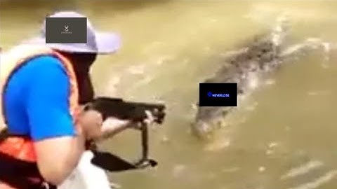 Primordial Highlights.