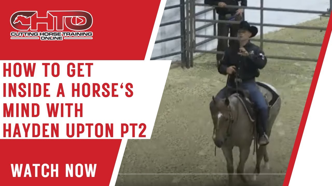How To Get Inside A Horse's Mind with Hayden Upton Pt2 YouTube