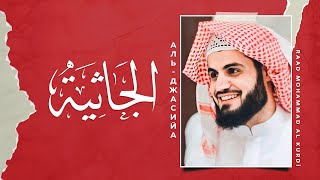 📖 Аль-Джасийа | 1-37 | 🎙 Чтец - رعد محمد الكردي | Raad Mohammad al Kurdi