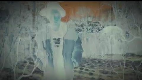 Zel2Bgs - All Fuxkin Day (Official Music Video)