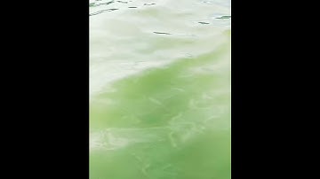 Thumbnail of Music drops (Água de beber)
