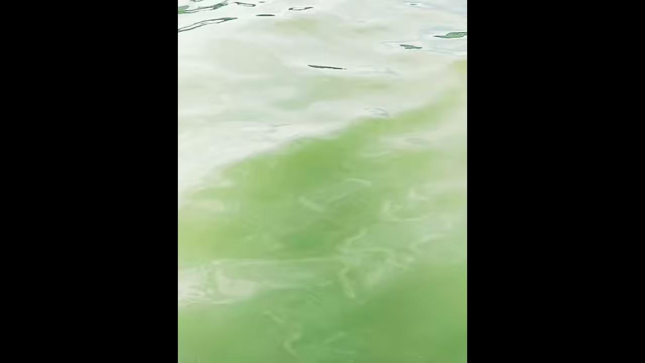 Music drops (Água de beber)