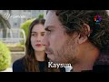 طائر الرفراف كايا سونا كايسون في حدا بدنا اياه     