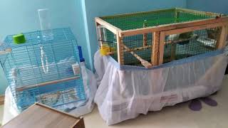 Muhabbet Kuşu Yuvalık Nasıl Olmalı Üretim Için Bilgiler