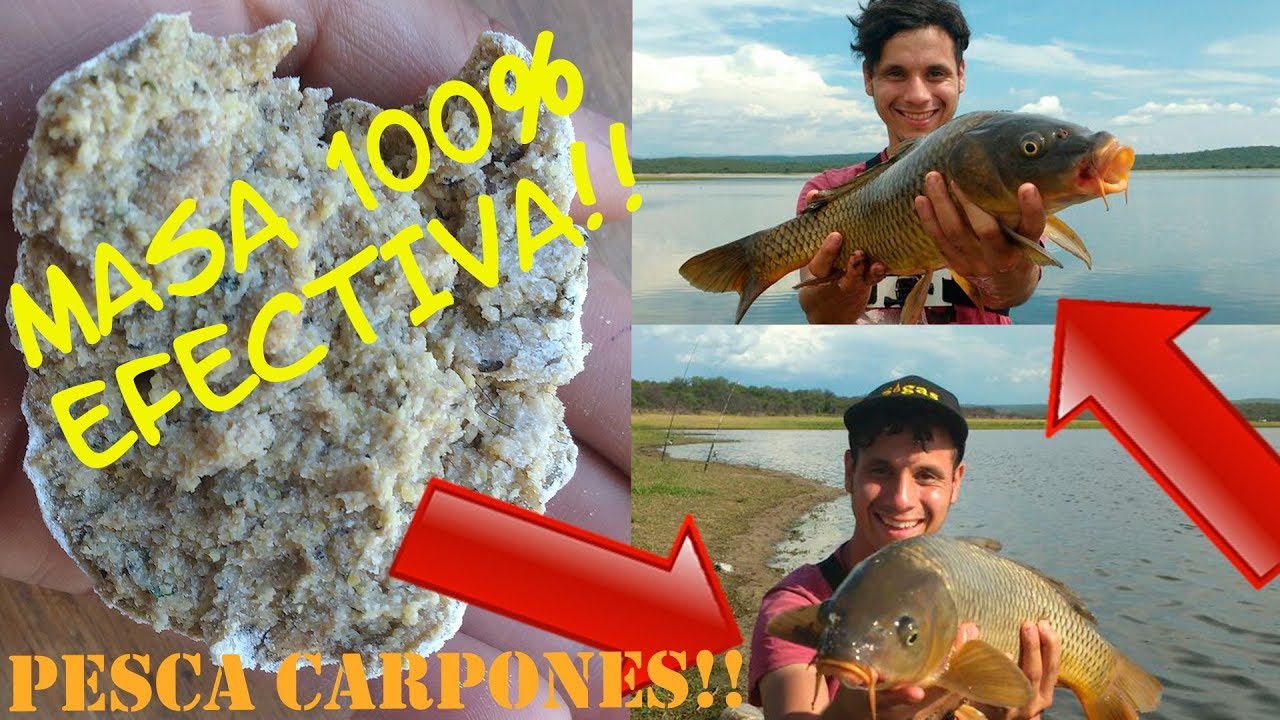 🎣 🎣MASA PARA PESCAR CARPONES... 110%✓ EFECTIVA
