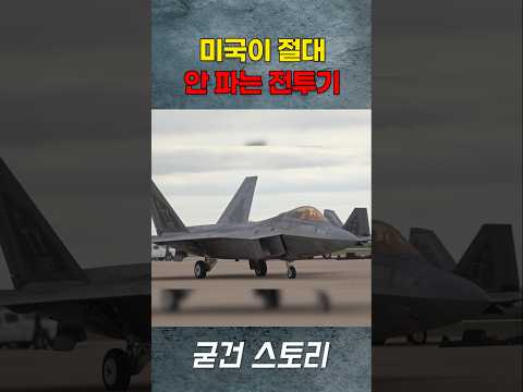 일본도 원했지만 가질 수 없던 전투기