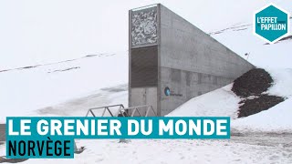 Norvège : Le Grenier Du Monde - L'Effet Papillon