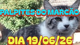 PALPITES DO MARCÃO DIA 19/06/26 (DIA TODO)@canaldomarcao1969 