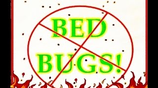 how to avoid bed bugs in a hotel room