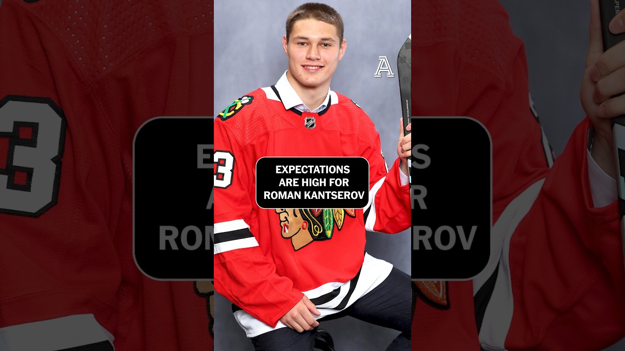 What should the Blackhawks expect from Roman Kansterov?